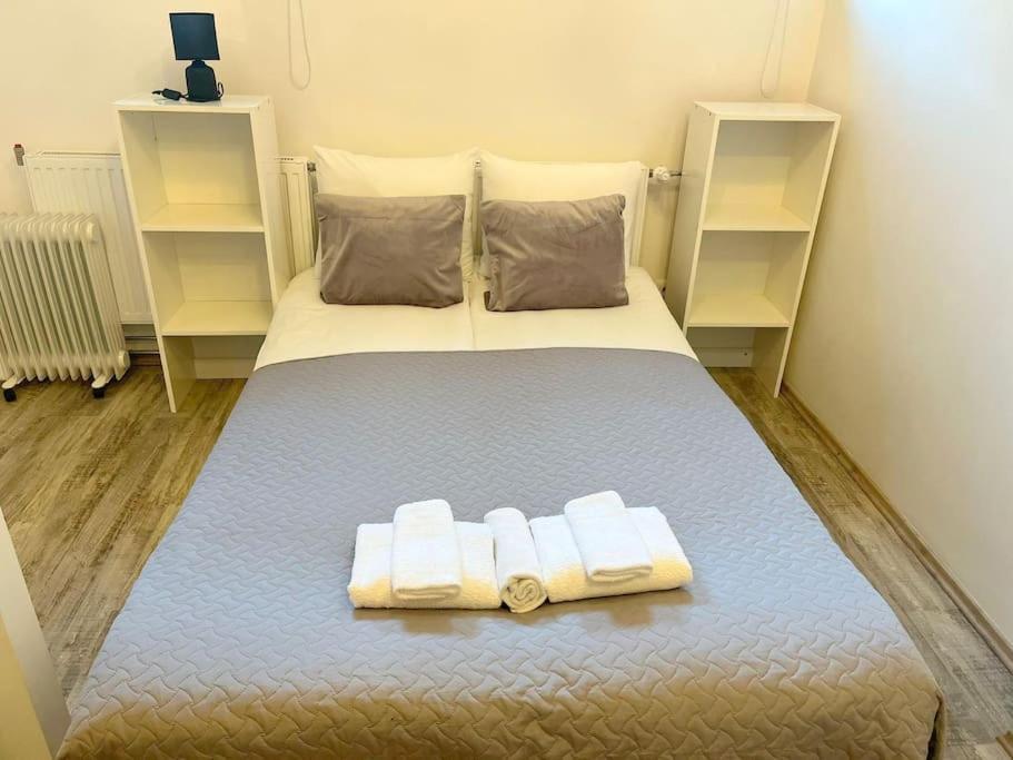 Cozy 1-bdroom In The Centre, Free Parking Leilighet