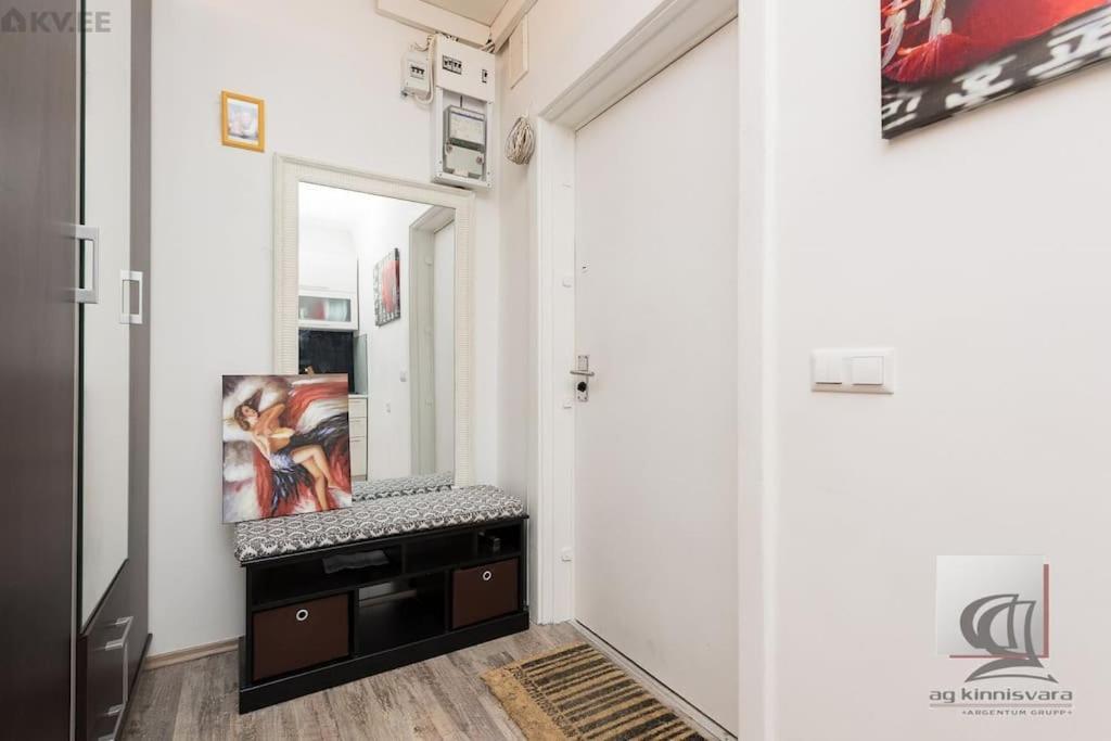Cozy 1-bdroom In The Centre, Free Parking Tallin